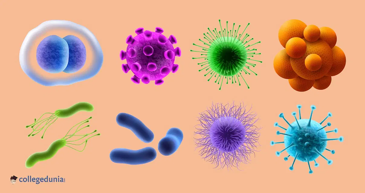 Microbes In Huma Welfare